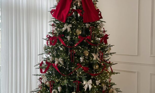 Christmas decorations in delhi NCR